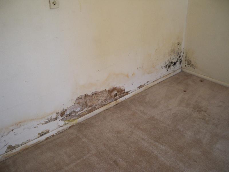 Ugly House Photos Â» Termite Damage
