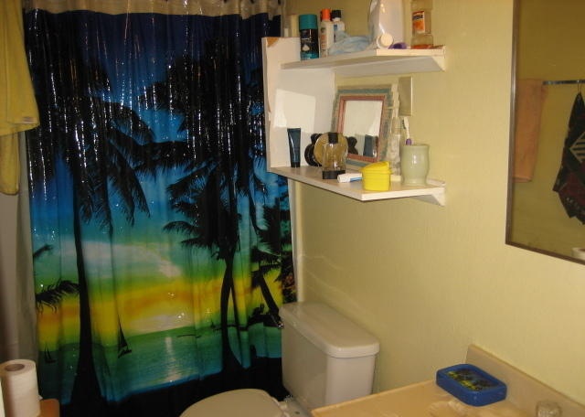 Ugly House Photos » Shower Curtain