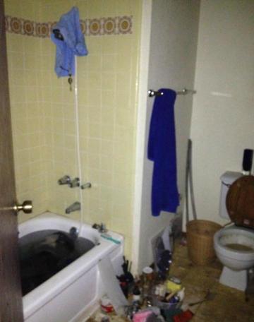 dirty filthy toilet black dark water bathtub bathroom messy fixer-upper neglected Phoenix Arizona home house for sale