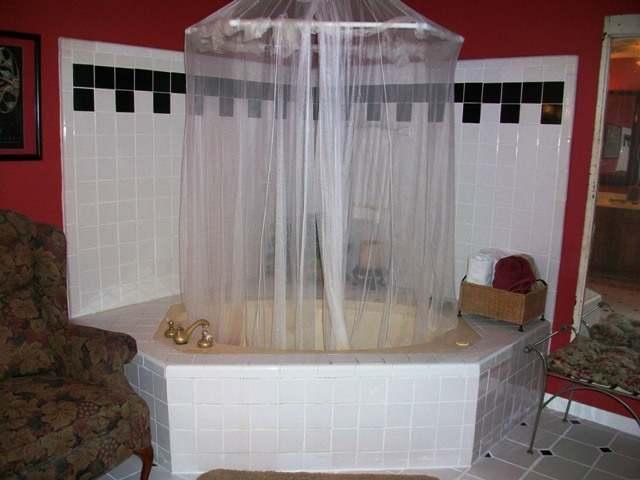 ugly décor mosquito netting used as shower curtain Burnet Texas home house for sale photo