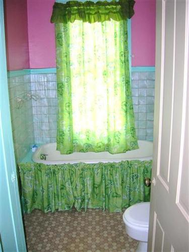 ugly décor green curtains around bathtub bathroom Cleveland Ohio home house for sale photo