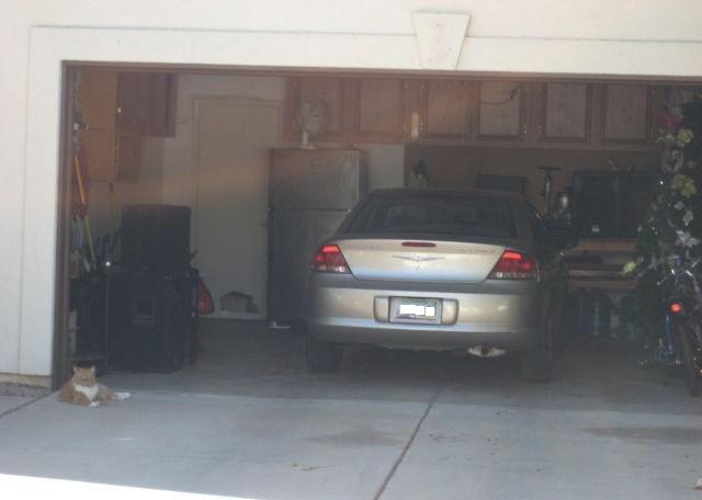 photo of open garage door cat Mesa Arizona home house for sale real estate