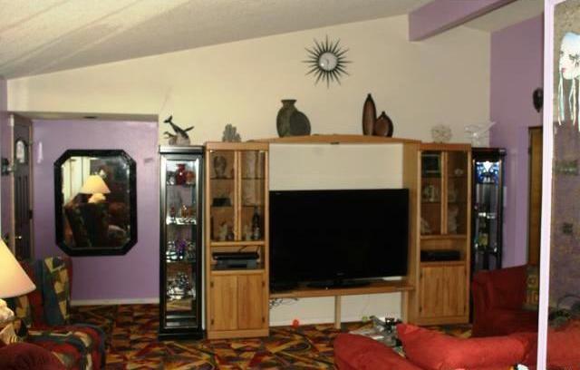 living room ugly tacky gaudy Las Vegas type colorful carpet Florissant Missouri home house for sale real estate photo