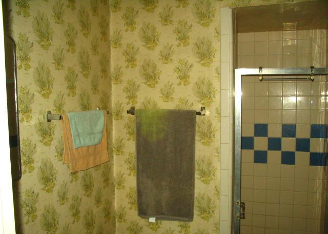 green pink fern fronds leaves vintage original 1956 1950s wallpaper bathroom Phoenix Arizona home house for sale photo