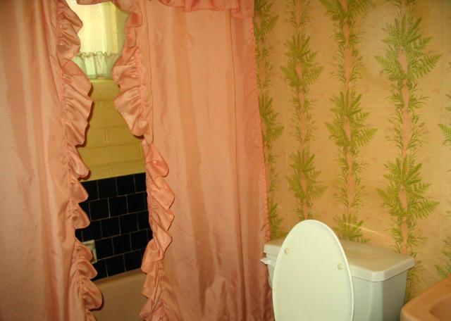 green pink fern fronds leaves vintage original 1956 1950s wallpaper bathroom Phoenix Arizona home house for sale photo