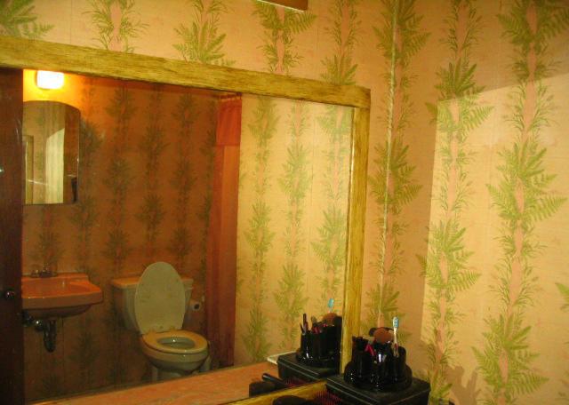 green pink fern fronds leaves vintage original 1956 1950s wallpaper bathroom Phoenix Arizona home house for sale photo