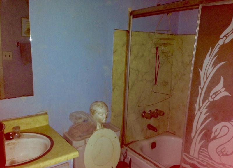 outdated dirty dusty bathroom mannequin head fixer-upper Phoenix Arizona homes houses for sale photo