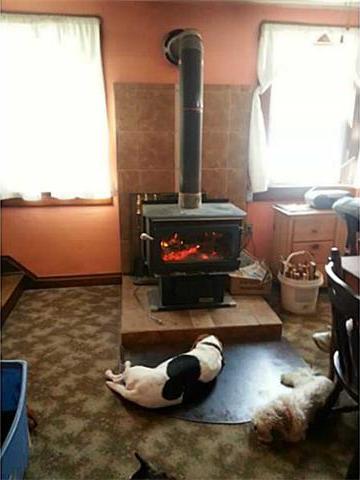 two dogs pets sleeping pellet stove fireplace Grove City Pennsylvania home house for sale photo