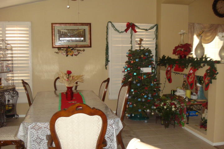 Christmas tree decorations still up nine months after Phoenix Arizona home house for sale