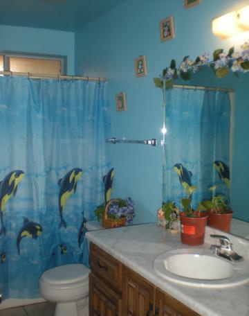 shower curtain blue yellow killer whales orcas bathroom Phoenix Arizona home house for sale photo