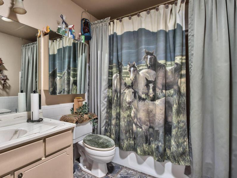 shower curtain horses bathroom Youngtown Arizona home house for sale photo