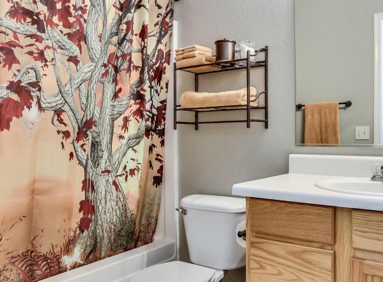 shower curtain dying dead tree red leaves bathroom Chandler Arizona home house for sale photo