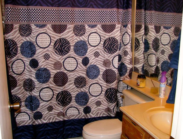 shower curtain circles bathroom Avondale Arizona home house for sale real estate photo